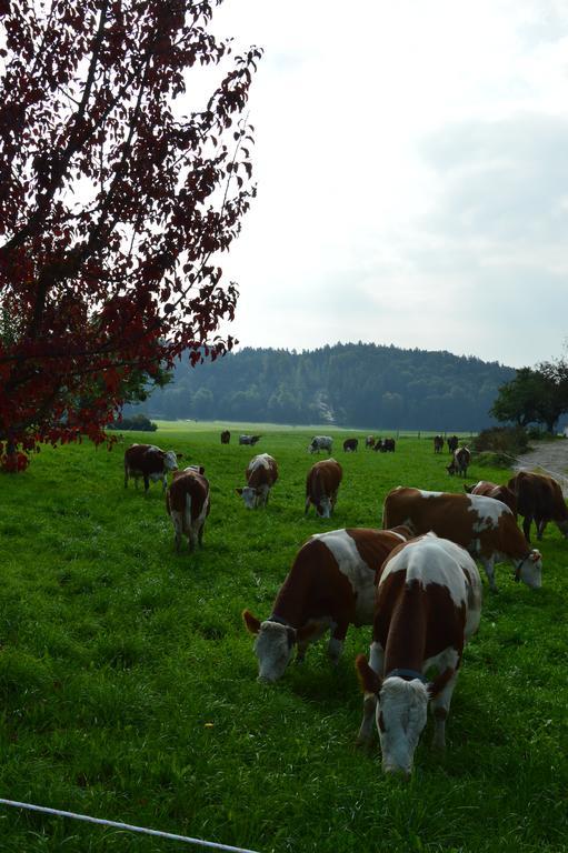 Pimperlhof Villa Franking Buitenkant foto